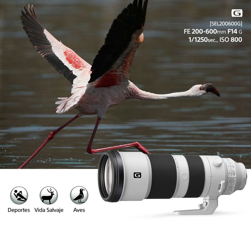 FE 200-600 mm F5.6-6.3 G OSS | Sony Store Chile - Sony Store Chile